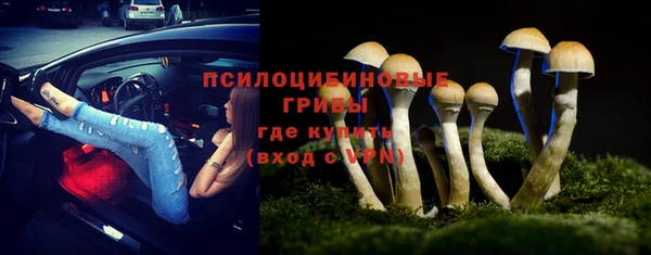 spice Зеленодольск