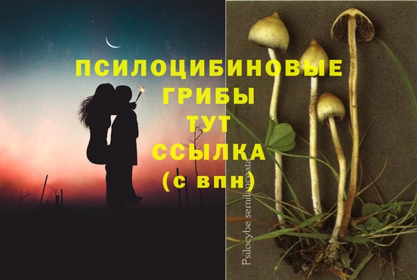 марки lsd Зерноград